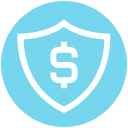 Money icon