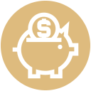 Money icon