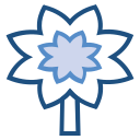 blume icon