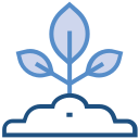 nature icon