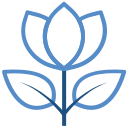 nature icon