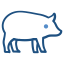 animal icon