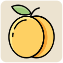 fruta icon