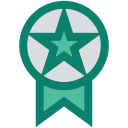 estrella icon