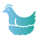 pollo icon