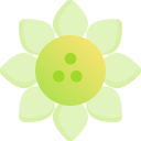 Girasol icon