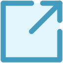 flecha icon