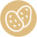 saludable icon