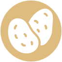 saludable icon