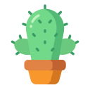 cactus icon