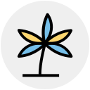 naturaleza icon