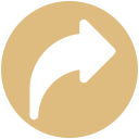 flecha icon