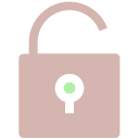 seguridad icon