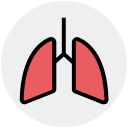 médico icon