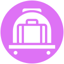 bolsa icon