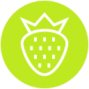 fresa icon