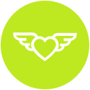 volar icon