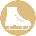 zapatos icon