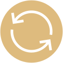 flecha icon