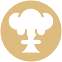 bomba icon