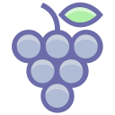 fruta icon