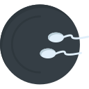 Inseminación icon