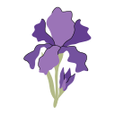 flores de iris icon