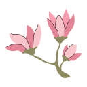 magnolia icon