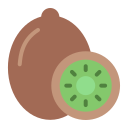 kiwi icon