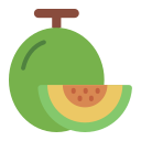 melón icon