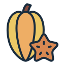 fruta estrella icon