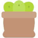 aceitunas icon