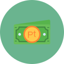 peseta icon