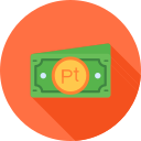 peseta icon