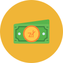 zloty icon