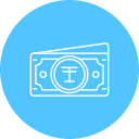 tenge icon