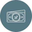 zloty icon