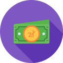 zloty icon