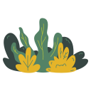 Bush 
