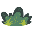 Bush 