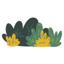 Bush 