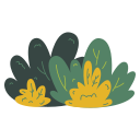 Bush 