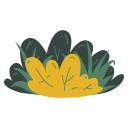 Bush 