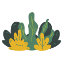 Bush 