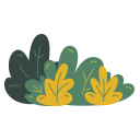 Bush 