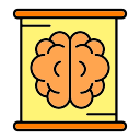 cerebro icon