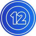 12 icon