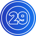 29 icon