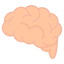 cerebro icon