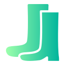 botas icon